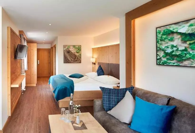 ビュー有りのスタンダードワンルーム, Smaragdhotel Tauernblick