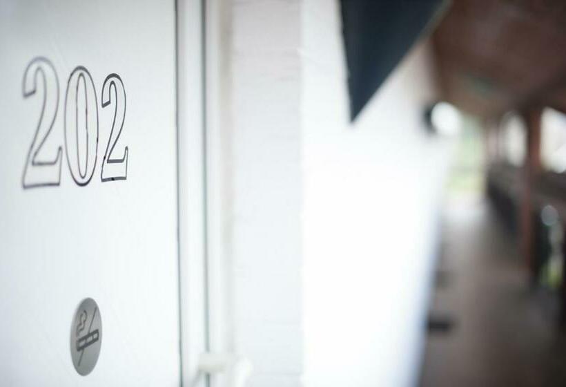 스탠다드 싱글 룸, Am Park