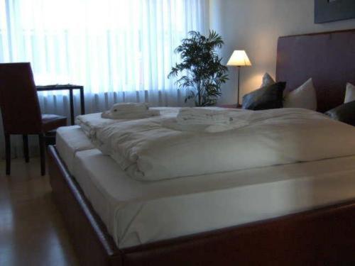 스탠다드 룸, Am Park