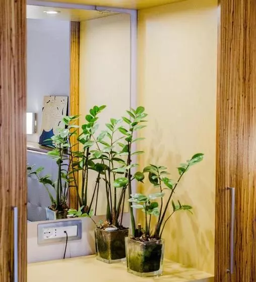 身障者適用スーペリアールーム, Garden