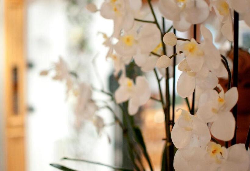 غرفة سوبيريور, Gianna