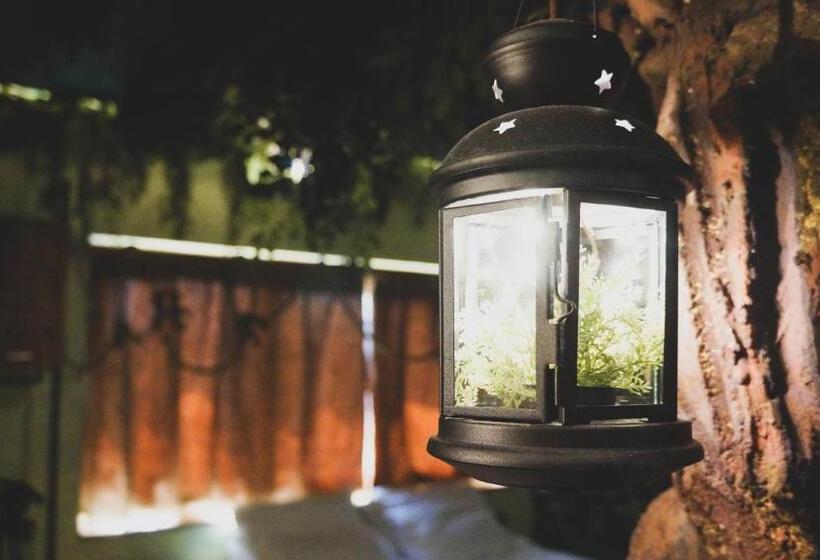 스위트 킹사이즈 침대, Meeting