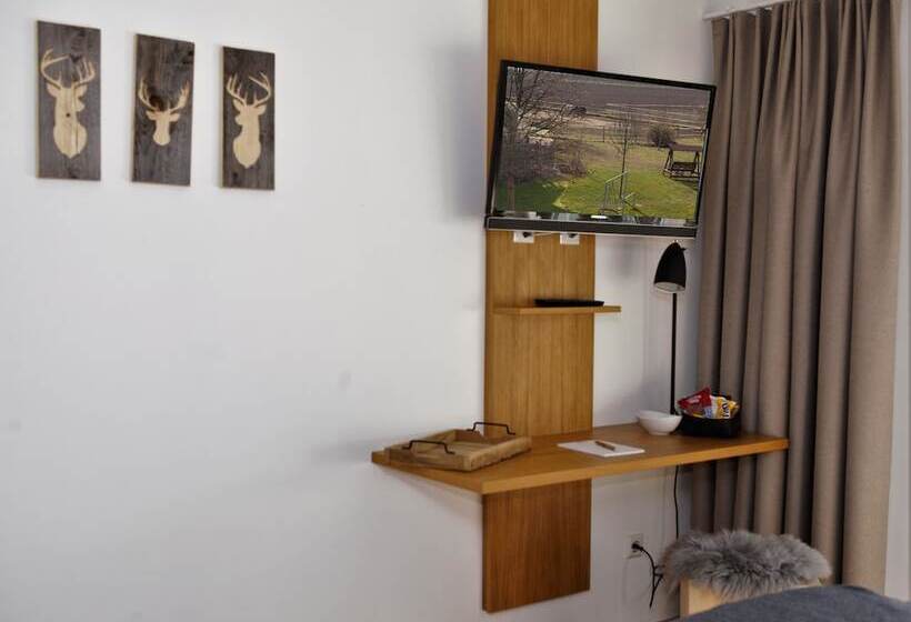 スタンダードシングルルーム, Gasthaus Hirschenstube & Gastehaus Gehri