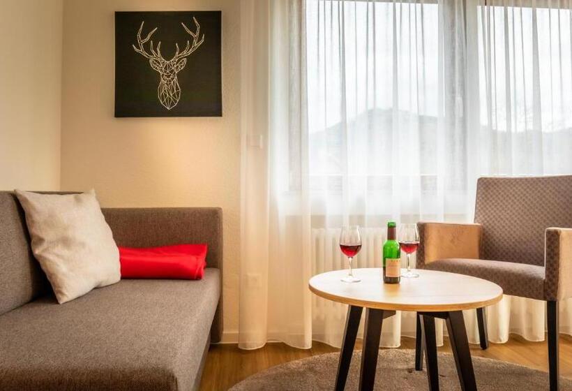 スタンダードルーム, Gasthaus Hirschenstube & Gastehaus Gehri