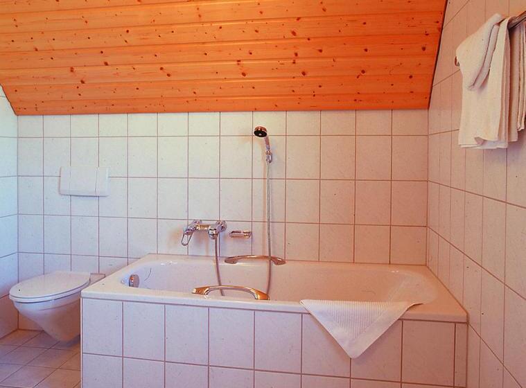 Номер Стандарт, Gasthof Spessarttor & Hotel Bergwiesen