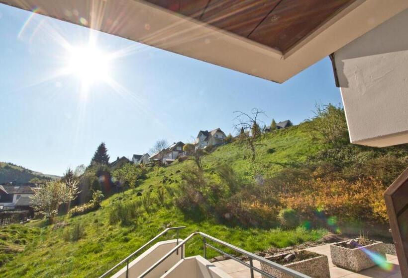 스탠다드 발코니 룸, Hanses Bräutigam