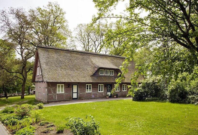 コンフォートルーム, Hof Tutsberg