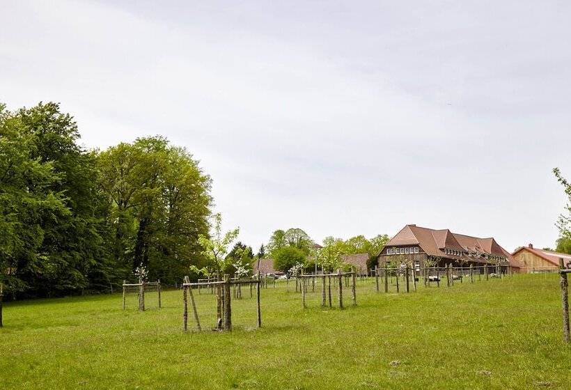 コンフォートルーム, Hof Tutsberg