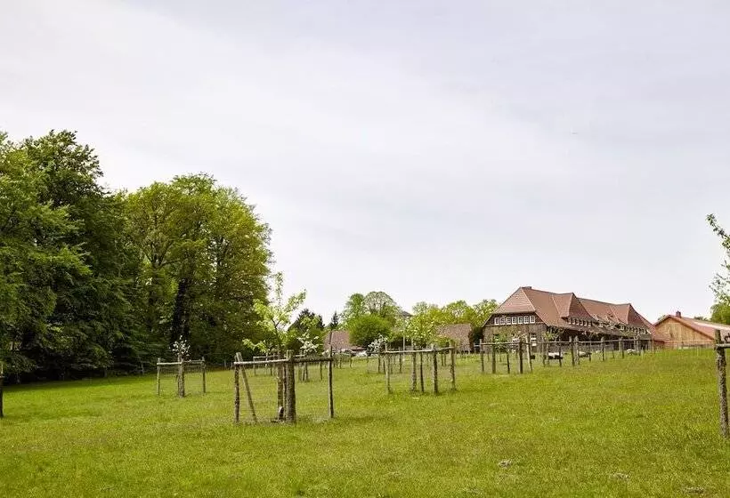 コンフォートルーム, Hof Tutsberg