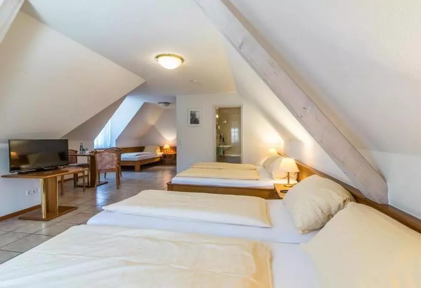 Standard Neljän Hengen Huone, Löwen Garni