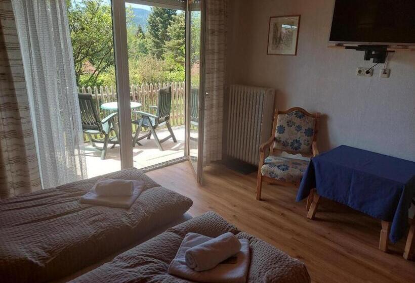テラス付きスタンダードルーム, Pension Eichhorn