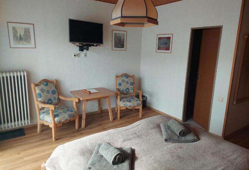 Номер Стандарт с Террасой, Pension Eichhorn