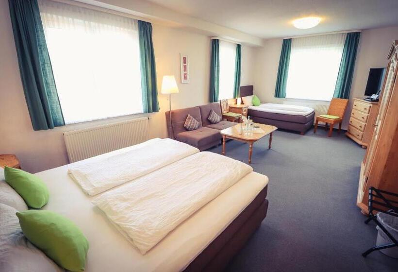 수피리어 트리플 룸, Schöne Aussicht