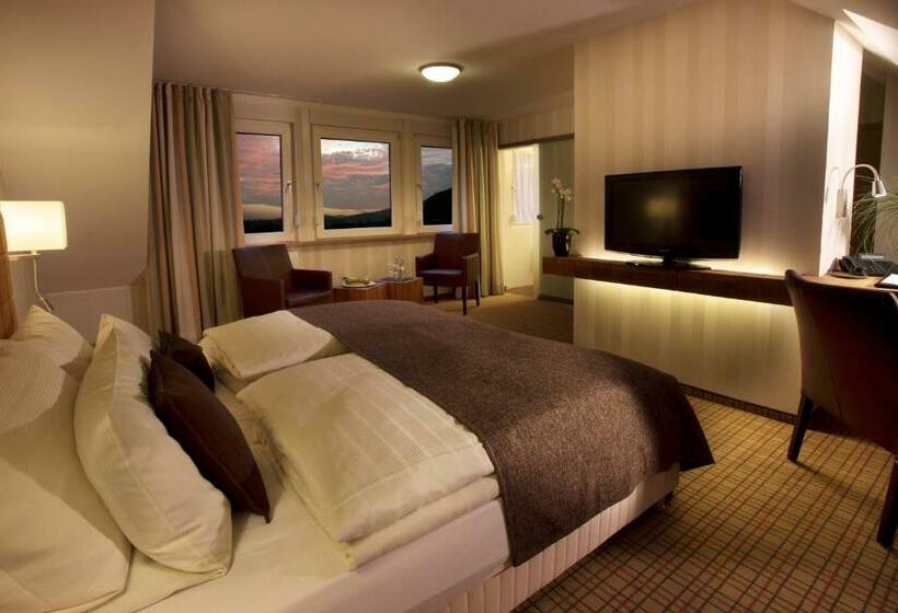 标准间, Seegarten