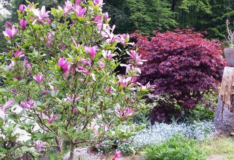 标准间, Rhön Hotel Waldcafé St. Georg