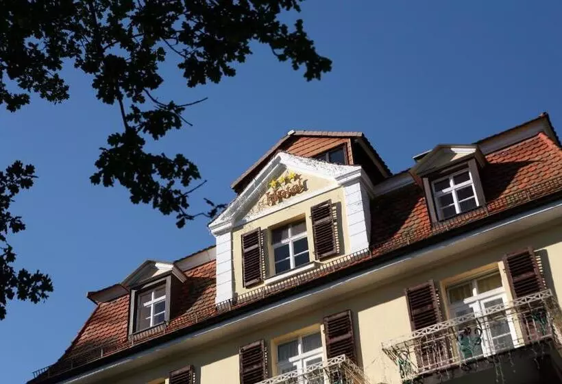 １ベッドルームアパートメント, Rhön Hotel Waldcafé St. Georg