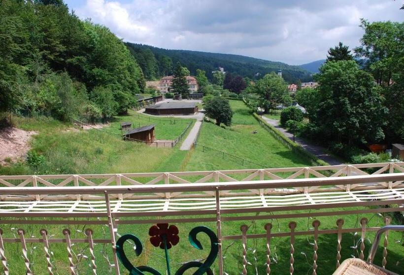 标准间, Rhön Hotel Waldcafé St. Georg