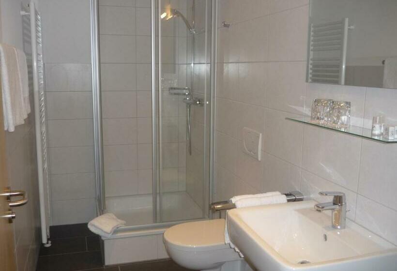 اتاق استاندارد یک نفره, Stadthotel Bocholt