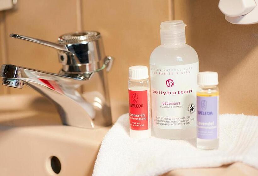 Номер Стандарт Индивидуальный, Garni Hotel Schumacher