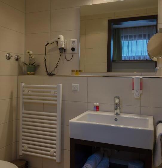 חדר סטנדרט יחיד, Garni Hotel Schumacher