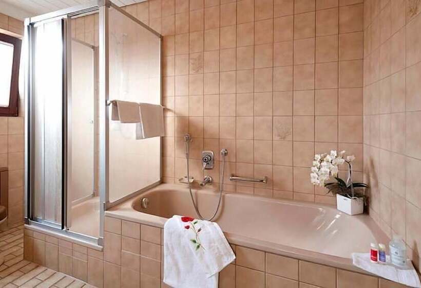 Номер Стандарт, Garni Hotel Schumacher