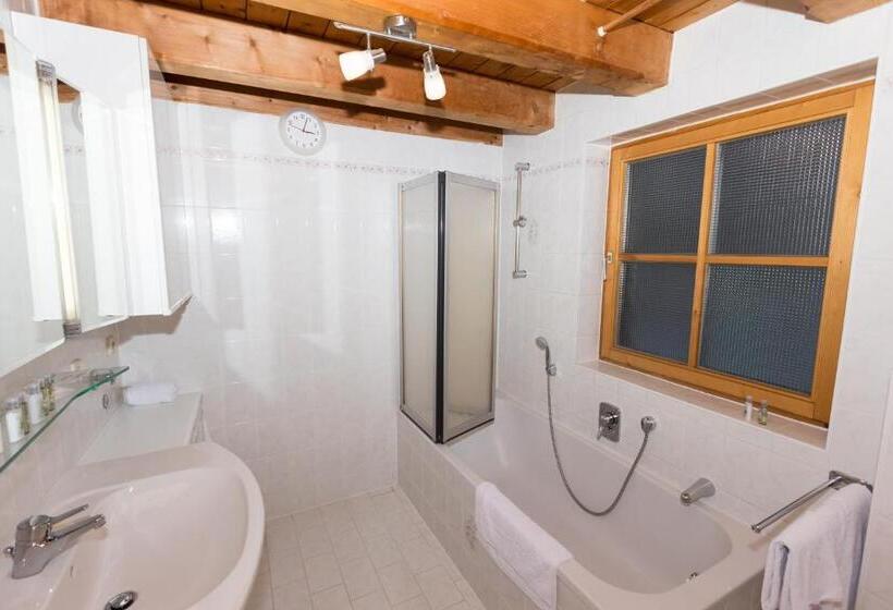 带1个卧室的豪华公寓, Deva Hotel Kaiserblick