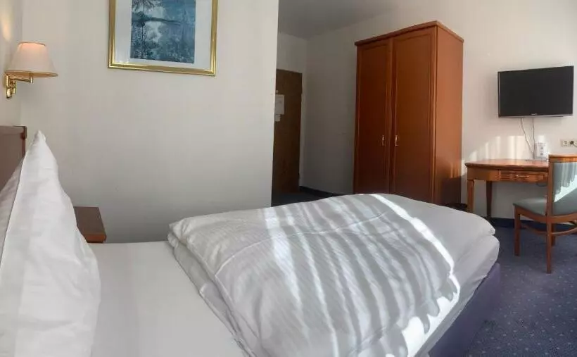 Standard Yhden Hengen Huone, Felsenkeller