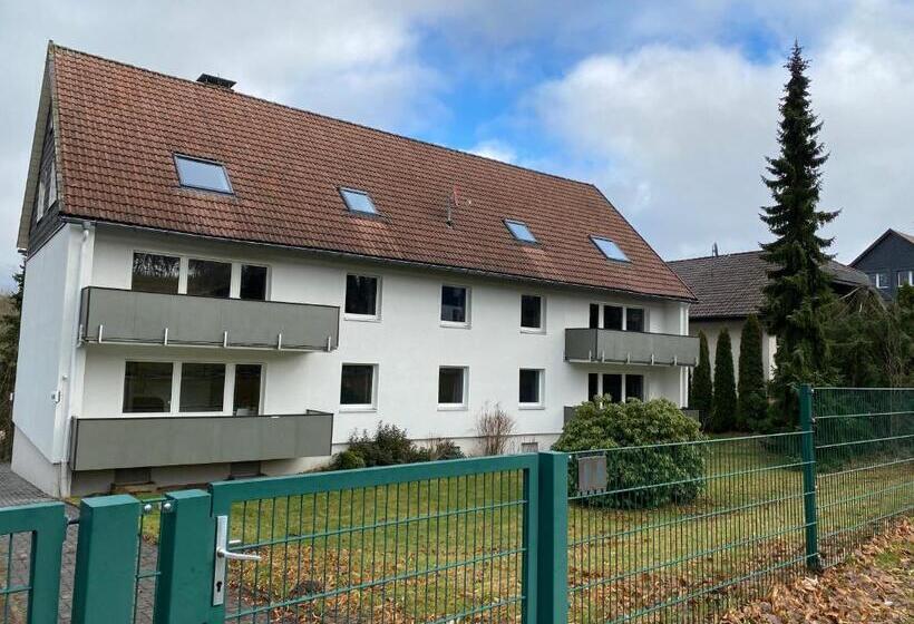 דירת 4 חדרים, Harzidyll