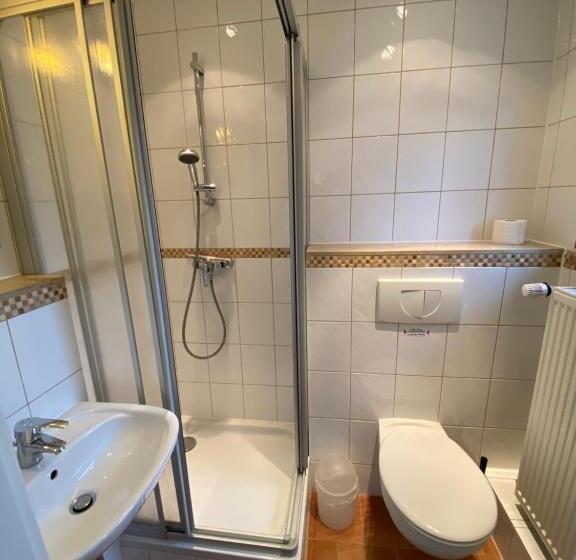 סטודיו סטנדרט עם מרפסת, Harzidyll