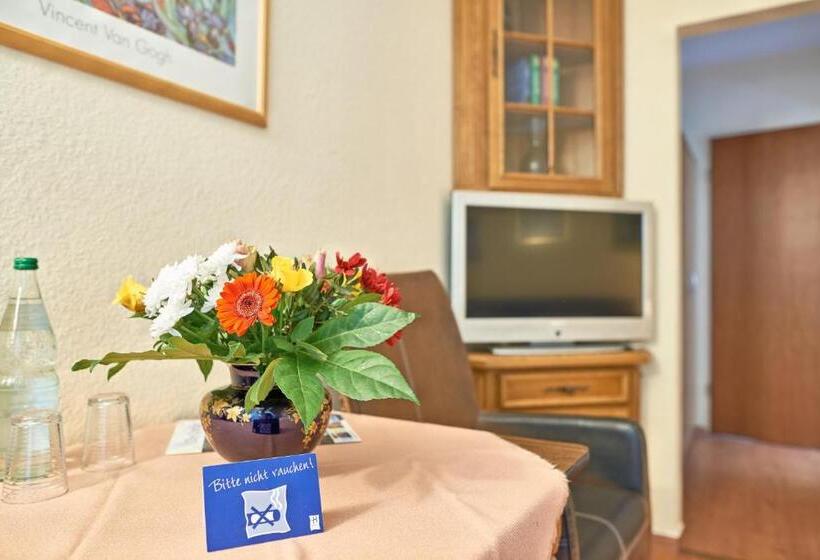 标准单人间, Pension Elfi