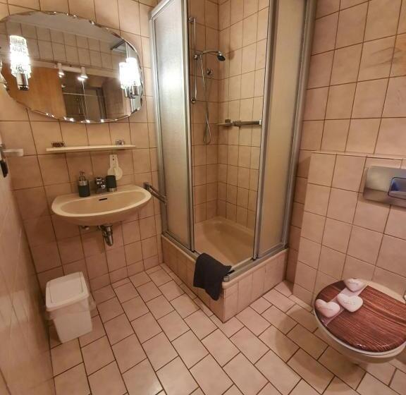 غرفة قياسية, Reinhardshäusle Pension & Wellness