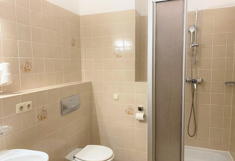 Четырехместный Номер Стандарт, Schwabenwirt