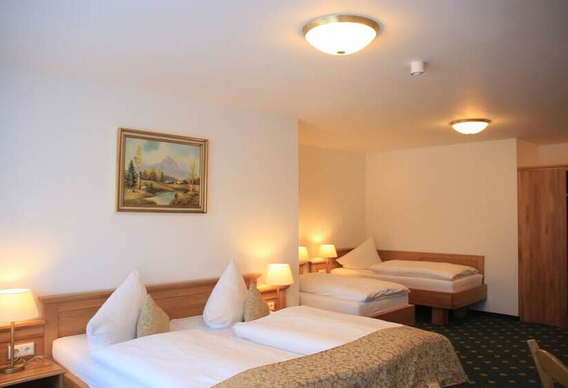 Четырехместный Номер Superior, Schwabenwirt