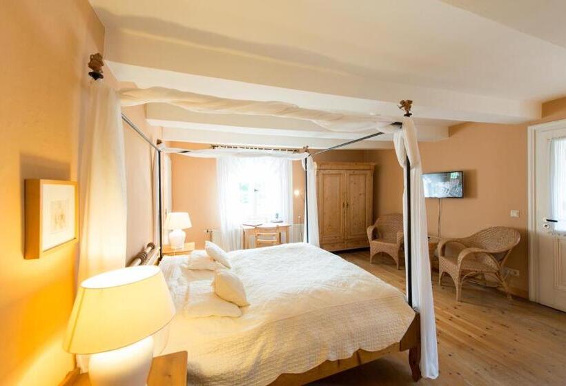 コンフォートルーム, Theophano