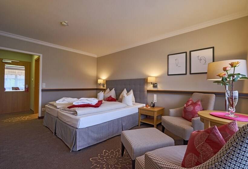 Номер Стандарт Индивидуальный, Thermenhotel Apollo