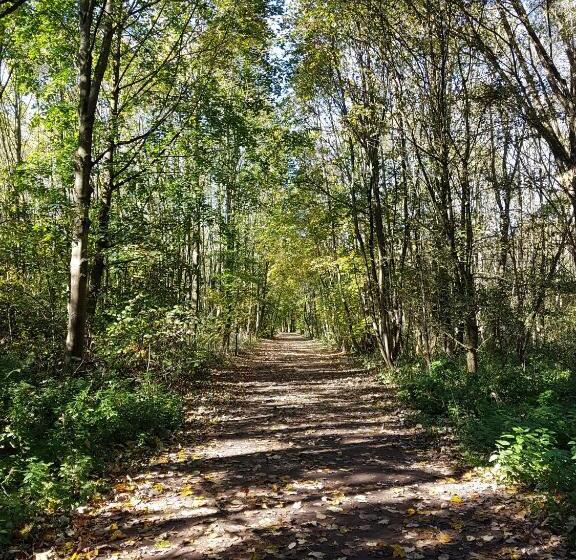 Номер Стандарт Индивидуальный, Kurhotel Anders