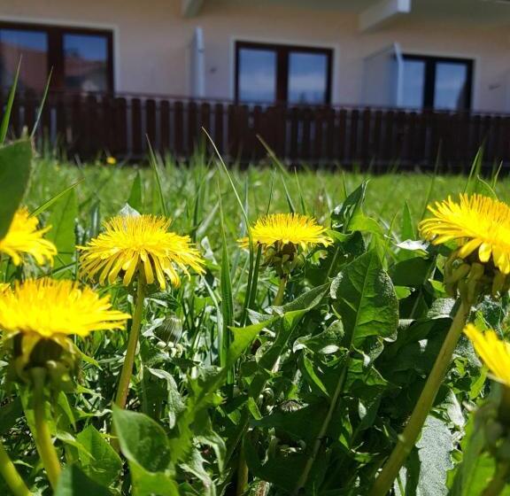 Номер Стандарт Индивидуальный, Kurhotel Anders