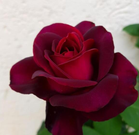 Номер Стандарт Индивидуальный, Kurhotel Anders