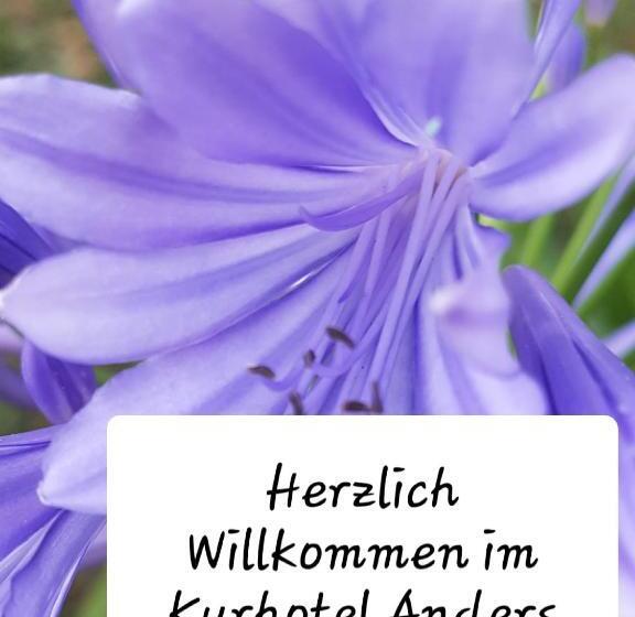 Номер Стандарт, Kurhotel Anders