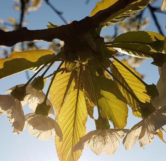 Номер Стандарт, Kurhotel Anders