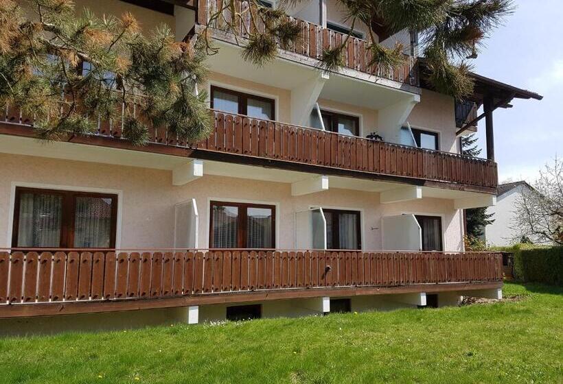 Одноместный Номер Basic, Kurhotel Anders