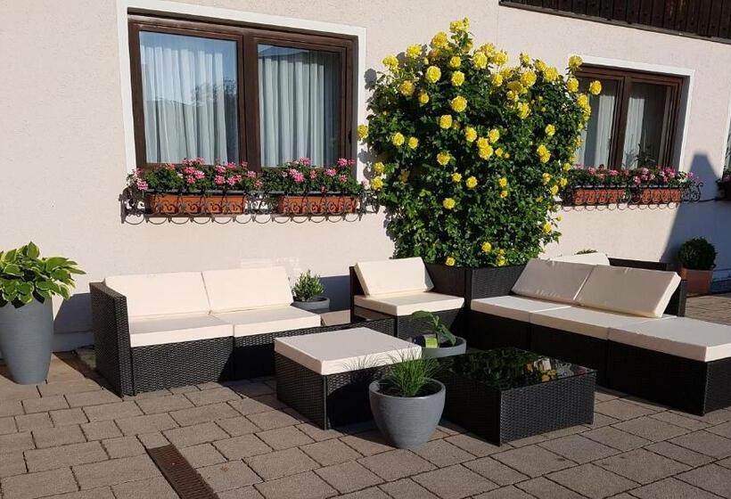 Одноместный Номер Basic, Kurhotel Anders