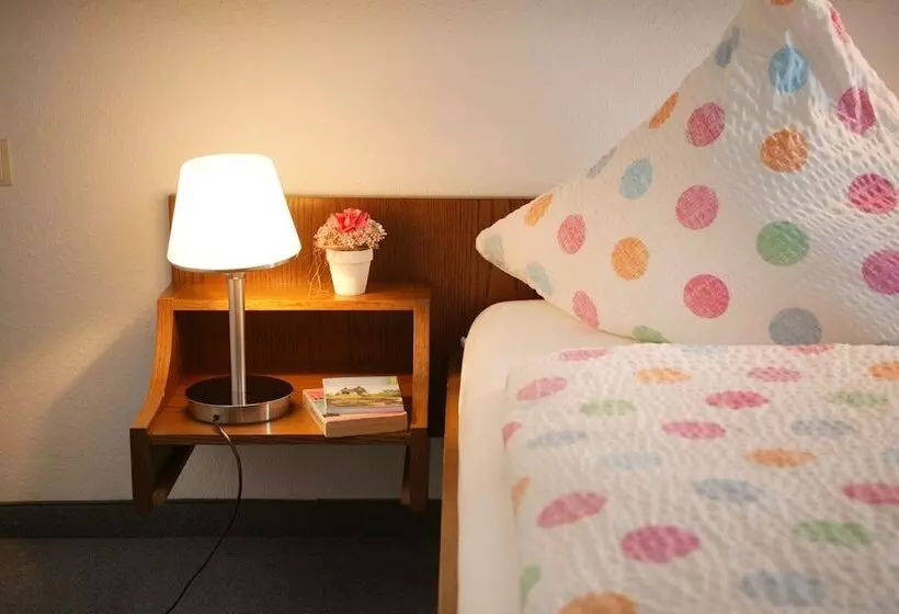 スタンダードシングルルーム, Landhaus Mast