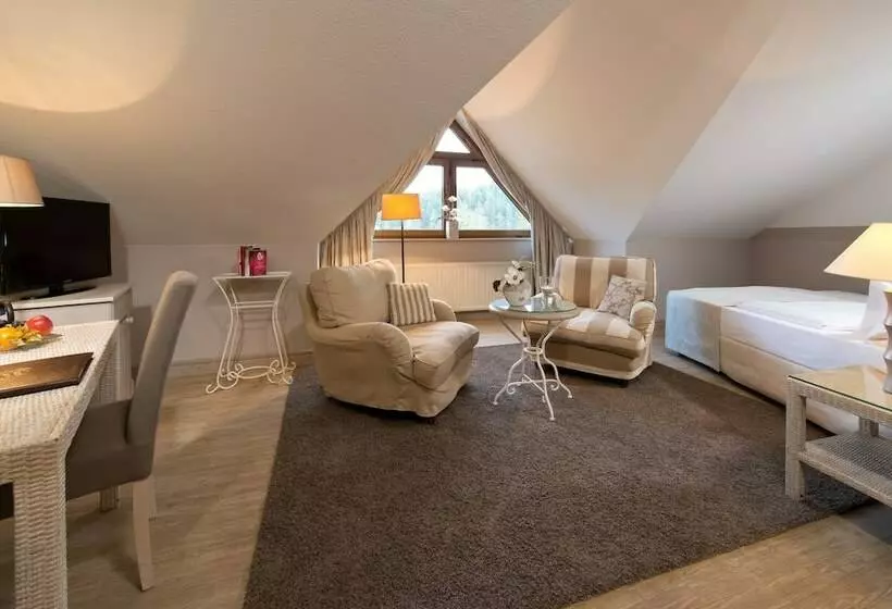 Standard Yhden Hengen Huone, Romantischer Winkel Roligio & Wellness Resort