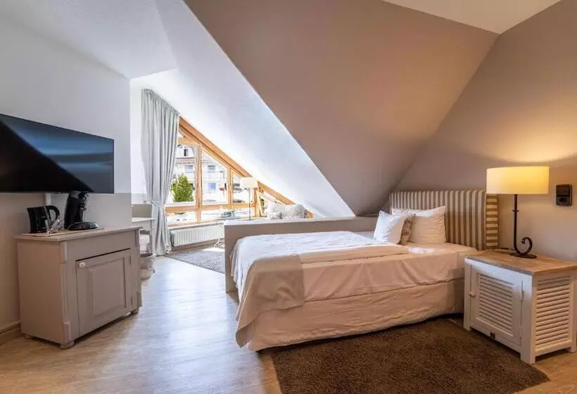 Standard Yhden Hengen Huone, Romantischer Winkel Roligio & Wellness Resort