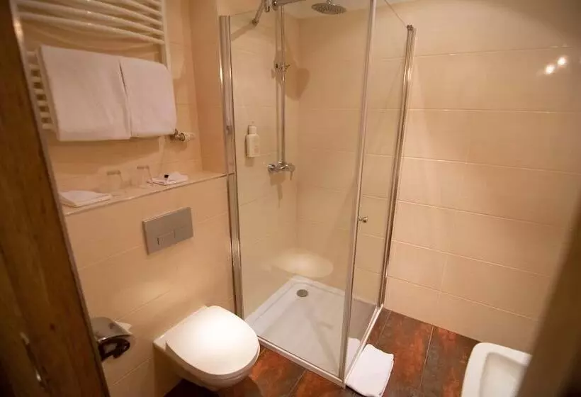 اتاق استاندارد یک نفره, Seehotel Schlierseer Hof