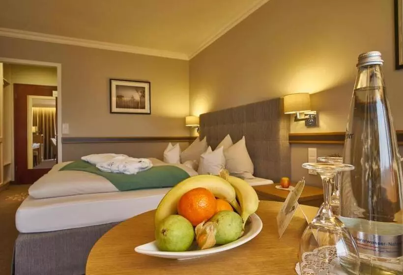 Standard Yhden Hengen Huone, Thermenhotel Apollo