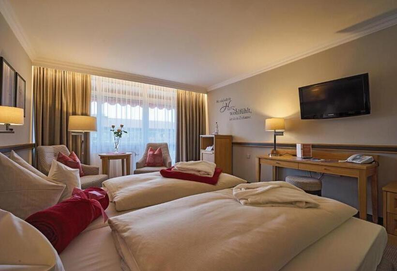 Номер Стандарт Индивидуальный, Thermenhotel Apollo