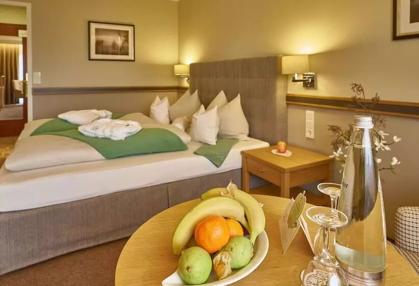 Standard-huone, Thermenhotel Apollo