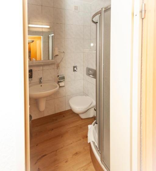 스탠다드 룸, West Hotel An Der Sächsischen Weinstrasse